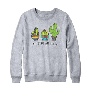 My Friends Are Pricks Sweatshirt Hoodie - Rocket Factory Apparel